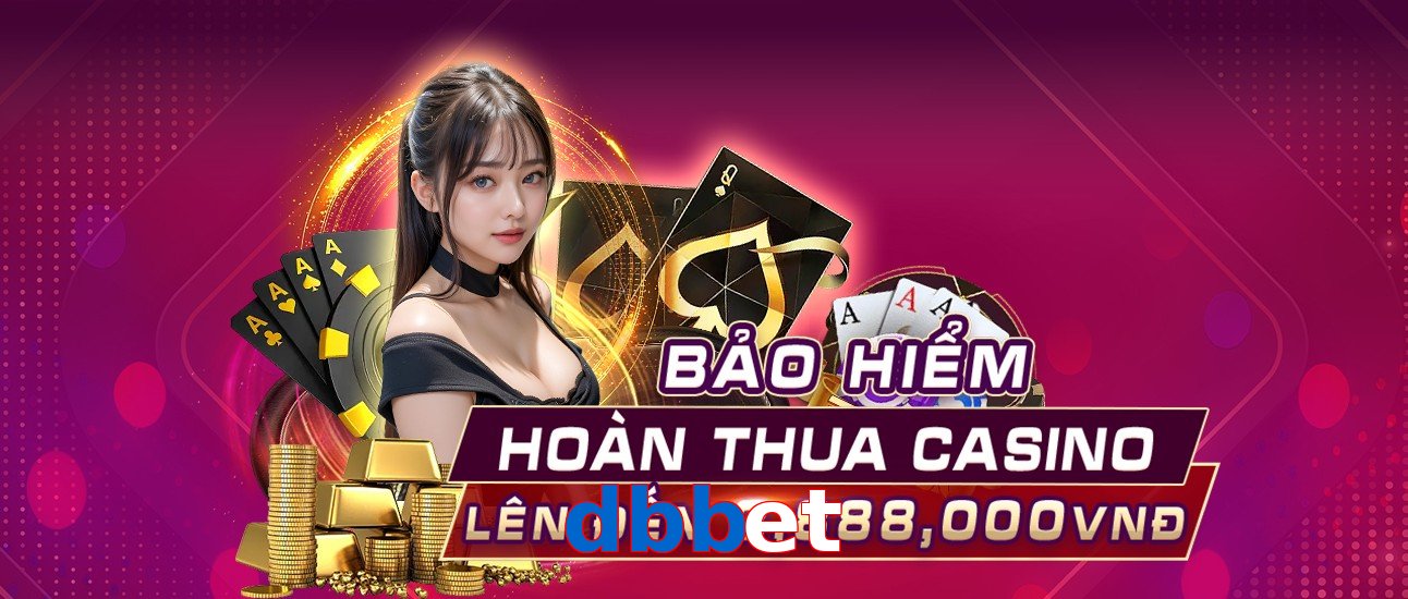 dbbet