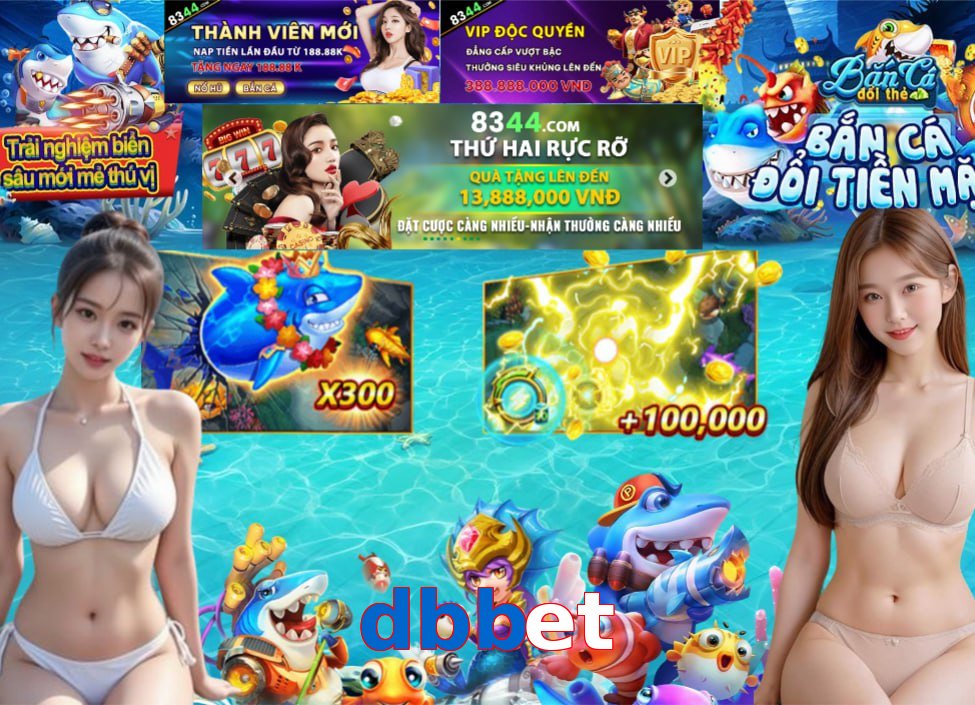 dbbet